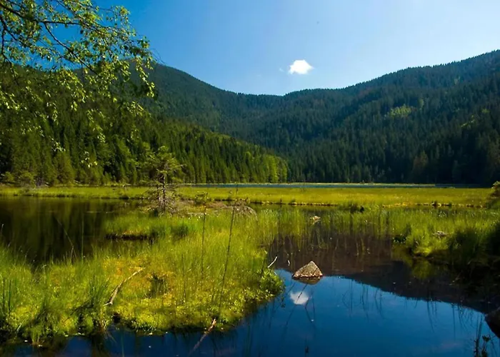 Cozy Bavarian Forest Retreat Appartement