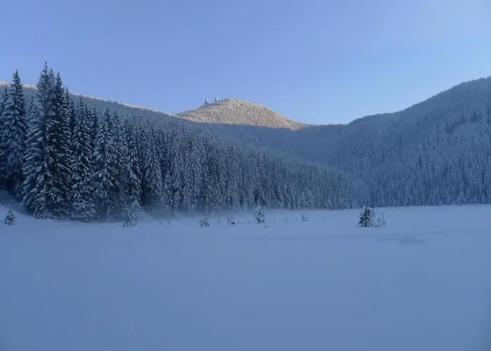 Appartement Cozy Bavarian Forest Retreat Arrach