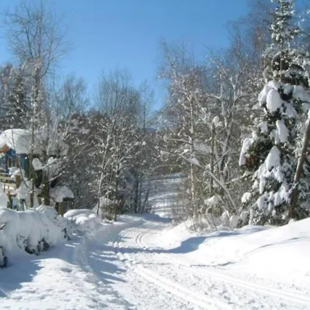 Cozy Bavarian Forest Retreat Apartamento *