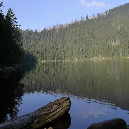 Apartamento Cozy Bavarian Forest Retreat Arrach