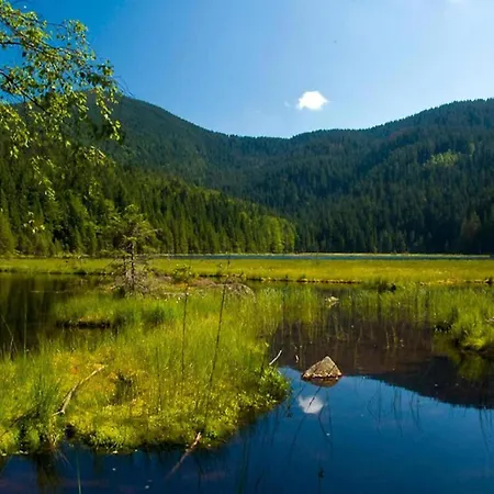 Cozy Bavarian Forest Retreat Apartamento
