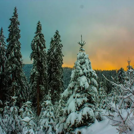 Cozy Bavarian Forest Retreat Arrach