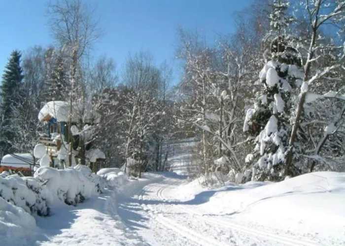 Cozy Bavarian Forest Retreat Appartement *