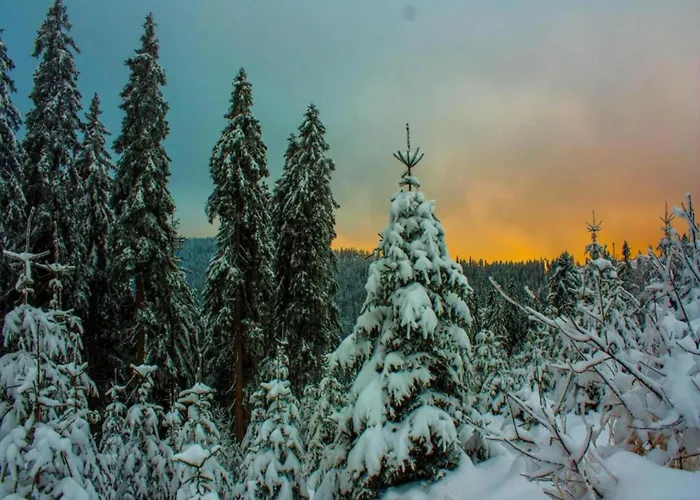 Cozy Bavarian Forest Retreat Arrach