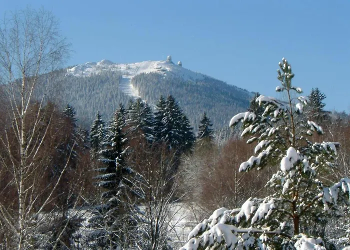 Appartement Cozy Bavarian Forest Retreat *